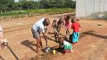 Planting seeds